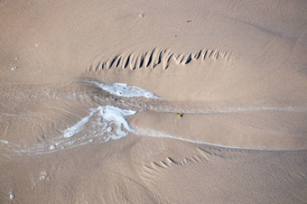 羽毛形状湿沙子