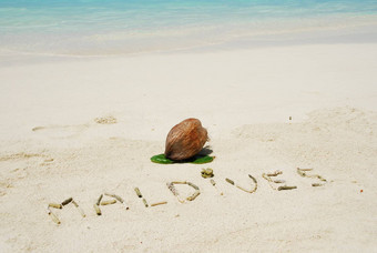 马尔代夫写桑迪热带海滩椰子水果