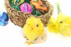 复活节篮子小鸡色彩斑斓的鸡蛋