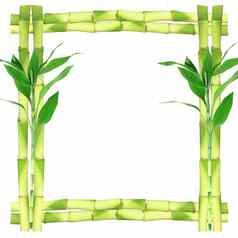 竹子框架