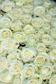 集团白色玫瑰婚礼装饰