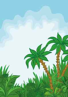 异国情调的景观棕榈植物