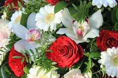兰花兰花红色的玫瑰白色Gerberas