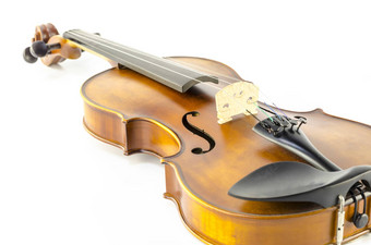 音乐字符串仪器小提琴孤立的白色