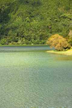 绿色湖