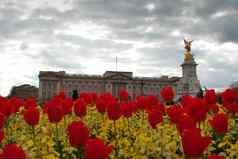 白金汉宫花盛开的女王的花园伦敦英格兰