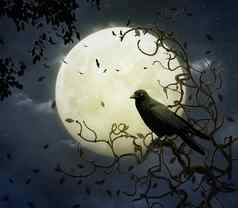 乌鸦完整的月亮