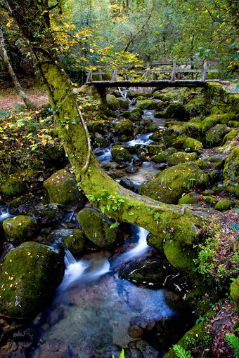 荒野