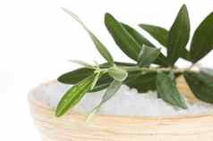 新鲜的橄榄分支浴盐孤立的白色使用