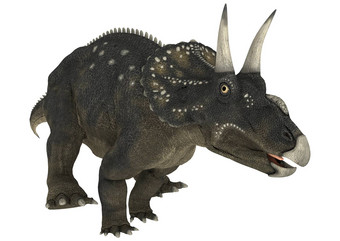 恐龙diceratops