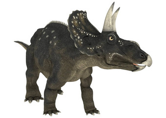 恐龙diceratops