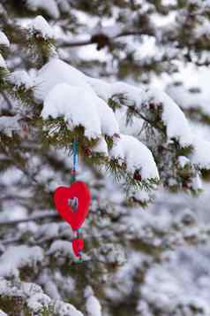 红色的心雪松树圣诞节点缀