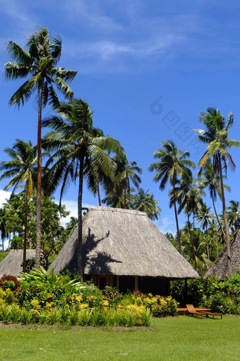 传统的煤矿茅草屋顶瓦莱武岛斐济