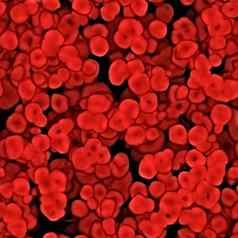 红色的血细胞纹理