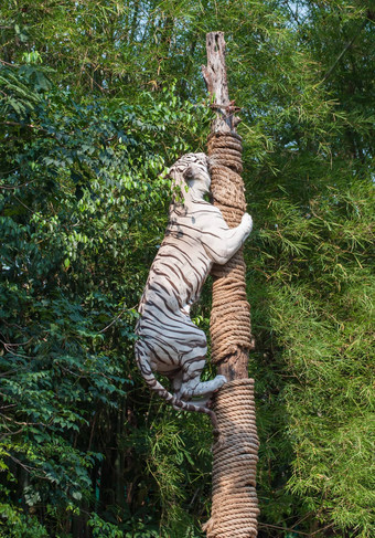 白色老虎攀爬树显示