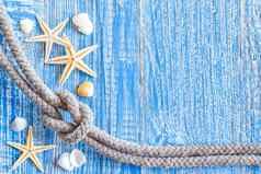海洋绳子海贝壳甲板