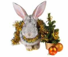灰色的兔子圣诞节装饰