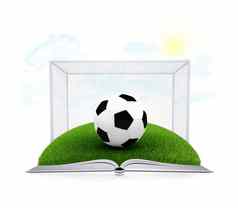 足球球门开放白色书