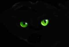 猫眼睛黑暗