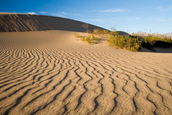 沙子沙丘