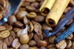 咖啡豆子咖啡制造商truestar香料肉桂