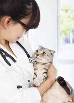 年轻的女兽医持有生病的猫诊所