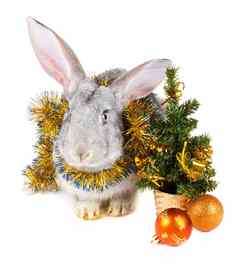 灰色的兔子圣诞节装饰
