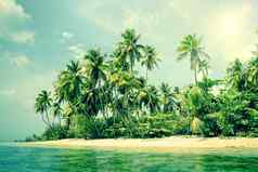 热带岛棕榈树海滩