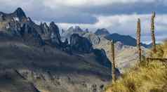 安第斯山脉箱国家公园安第斯山脉的高地厄瓜多尔