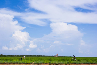 柬埔寨人骑自行车海岸