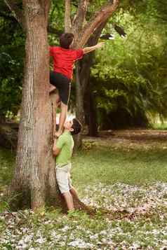 孩子们帮助攀爬树公园