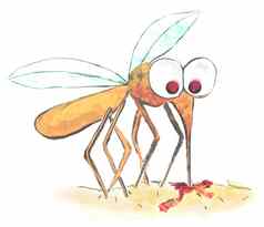 有趣的插图蚊子