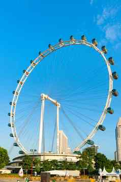巨大的摩天轮新加坡摩天观景轮