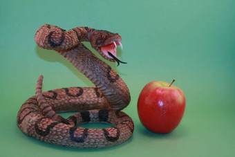 蛇苹果亚当夏娃圣经故事