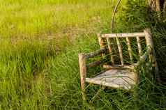 竹子木椅子草