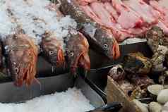 圣地亚哥鱼市场