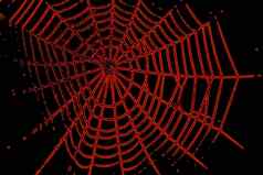 蜘蛛网络模式万圣节橙色颜色