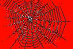 蜘蛛网络模式万圣节橙色颜色