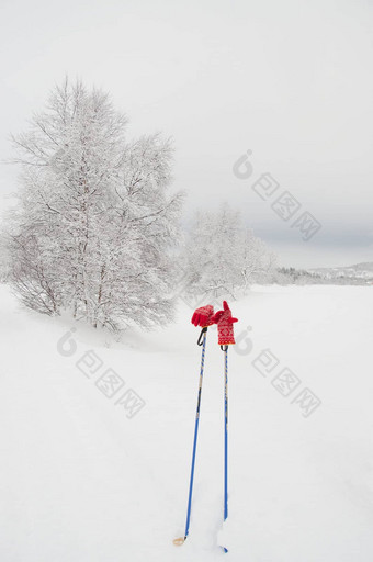 滑雪波兰人红色的手套