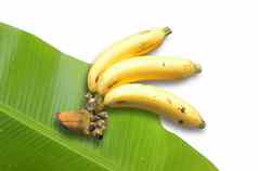 香蕉香蕉叶白色背景