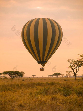 热空气气球非洲
