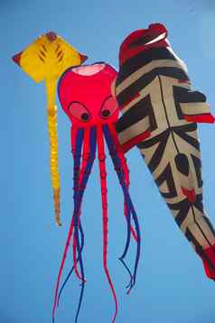 安达兰国际风筝节日