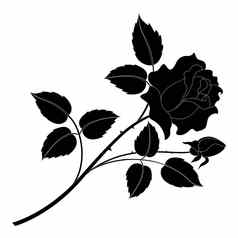 花玫瑰黑色的轮廓