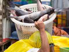 工人携带鱼市场