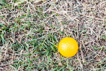 黄色的微型高尔夫球球粗糙的