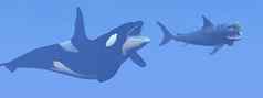 杀手鲸鱼攻击小巨齿鲨鲨鱼渲染