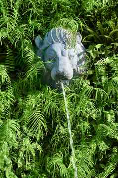 石头狮子头喷泉绿色植物
