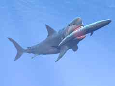 巨齿鲨鲨鱼吃蓝色的鲸鱼渲染