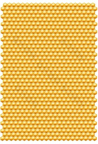 蜜蜂蜂窝模式