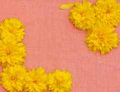 框架黄色的花背景粉红色的布